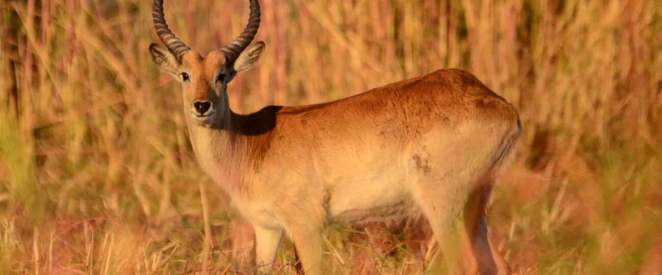 Our Trip to the Biggest National Park of Canada