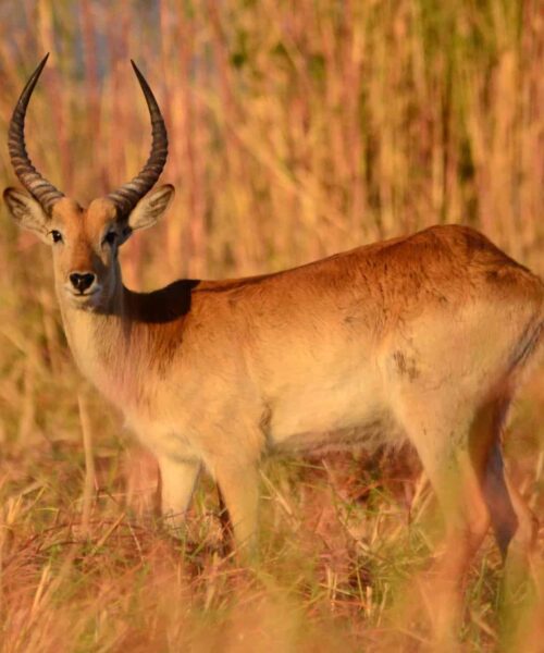 Our Trip to the Biggest National Park of Canada